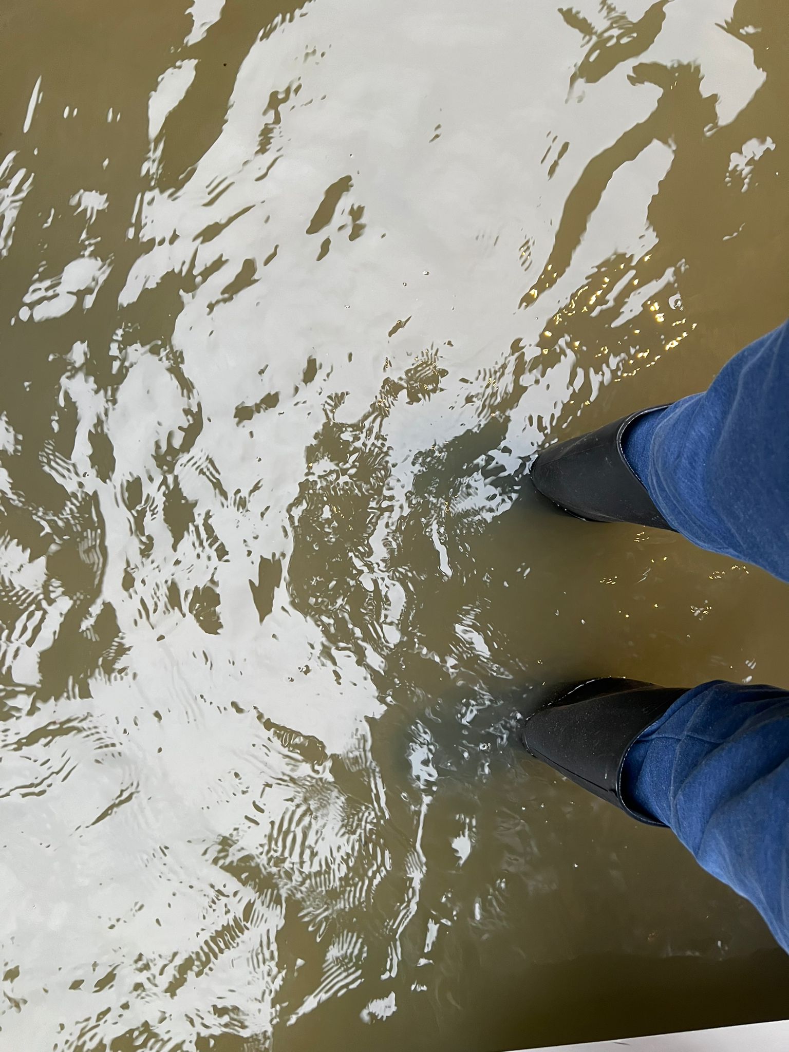 Flood Recovery Grant for Storm Henk