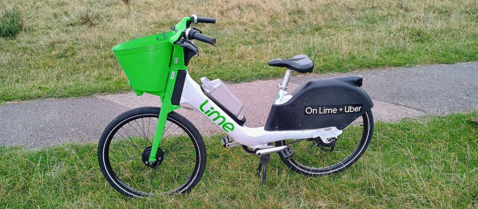 Reporting Dumped Lime Bikes