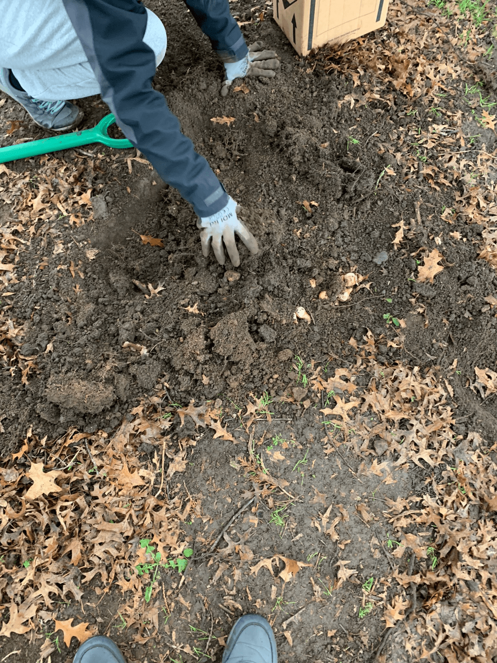 Woodthorpe Road Park In&nbsp;Bloom
