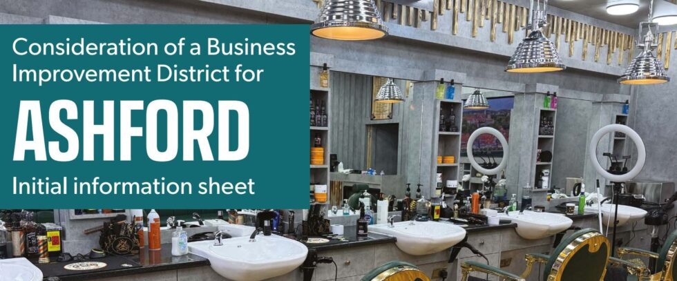 Ashford Businesses Survey