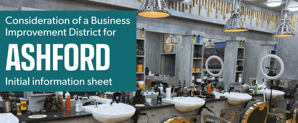 Ashford Businesses Survey
